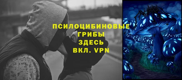 стафф Алексин