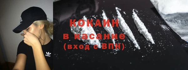 стафф Алексин
