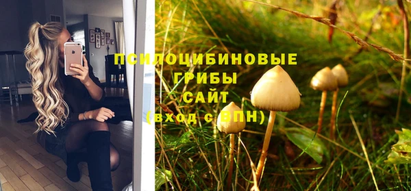 стафф Алексин