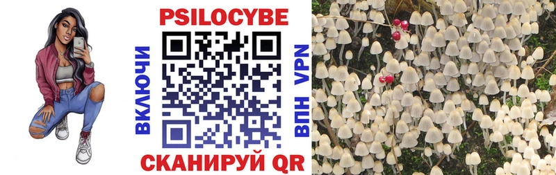 Псилоцибиновые грибы MAGIC MUSHROOMS  Елизово 