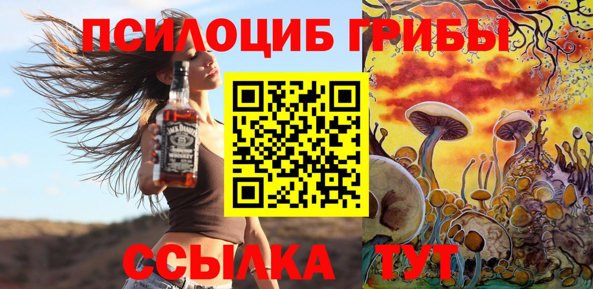 Галлюциногенные грибы Psilocybine cubensis  Вход с VPN  как найти   Елизово 
