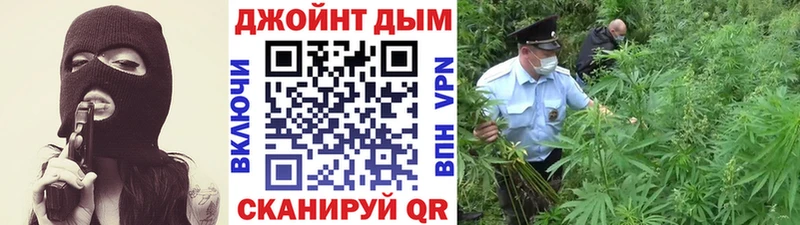 Бошки марихуана марихуана сколько стоит Елизово